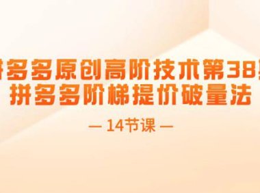 (6454)拼多多原创高阶技术第38期,拼多多阶梯提价破量法(14节课)