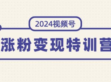（6465）2024视频号-涨粉变现特训营：一站式打造稳定视频号涨粉变现模式（10节）
