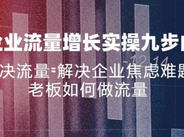 （6477）企业流量增长实战九步曲，解决流量=解决企业焦虑难题，老板如何做流量