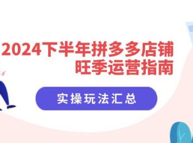 (6495)2024下半年拼多多店铺旺季运营指南:实操玩法汇总(8节课)