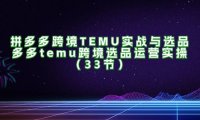 （6504）拼多多跨境TEMU实战与选品，多多temu跨境选品运营实操（33节）