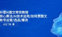 （6508）抖音AI图文带货教程：核心算法/AI技术运用/如何发图文/账号运营/选品/爆流