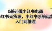 （6509）0基础做小红书电商，小红书无货源，小红书系统运营，入门到精通 (70节)
