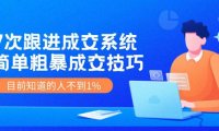 （6510）7次 跟进 成交系统：简单粗暴成交技巧，目前知道的人不到1%