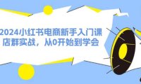 （6519）2024小红书电商新手入门课，店群实战，从0开始到学会（31节）