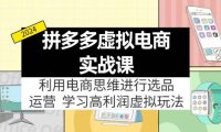 （6526）拼多多虚拟电商实战课：虚拟资源选品+运营，高利润虚拟玩法（更新14节）