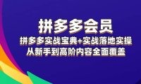 （6538）拼多多 会员，拼多多实战宝典+实战落地实操，从新手到高阶内容全面覆盖