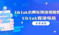 （6539）tiktok小黄车带货视频教程，tiktok跨境电商（全套课程）