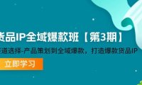 （6544）货品-IP全域爆款班【第3期】赛道选择-产品策划到全域爆款，打造爆款货品IP