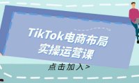 （6559）TikTok电商布局实操运营课：从新手到精通，成为TikTok带货运营高手