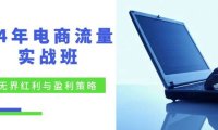 （6562）24年电商流量实战班：无界 红利与盈利策略，终极提升/关键词优化/精准…