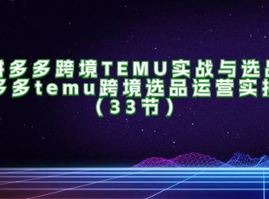（6504）拼多多跨境TEMU实战与选品，多多temu跨境选品运营实操（33节）