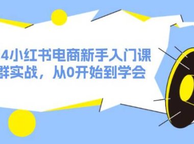 （6519）2024小红书电商新手入门课，店群实战，从0开始到学会（31节）