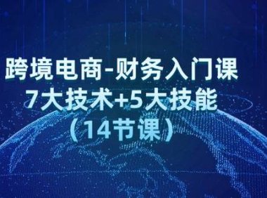 （6534）跨境电商-财务入门课：7大技术+5大技能（14节课）