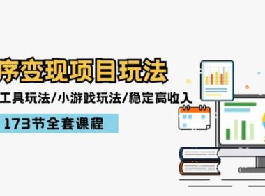 （6542）小程序变现项目玩法：图文玩法/工具玩法/小游戏玩法/稳定高收入/173节课程