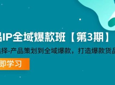 （6544）货品-IP全域爆款班【第3期】赛道选择-产品策划到全域爆款，打造爆款货品IP