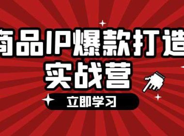 （6553）商品-IP爆款打造实战营【第四期】，手把手教你打造商品IP，爆款 不断