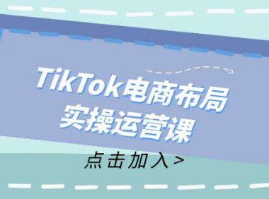 （6559）TikTok电商布局实操运营课：从新手到精通，成为TikTok带货运营高手