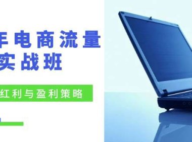 （6562）24年电商流量实战班：无界 红利与盈利策略，终极提升/关键词优化/精准…