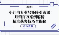 （6569）小红书专业号矩阵引流课，月销百万案例解析，精准获客技巧全揭秘
