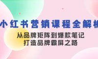 (6586)小红书营销课程全解析,从品牌矩阵到爆款笔记,打造品牌霸屏之路