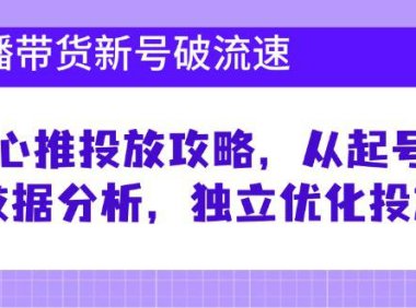 （6568）直播带货新号破 流速：随心推投放攻略，从起号到数据分析，独立优化投放