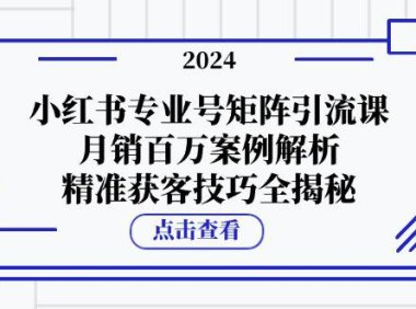 （6569）小红书专业号矩阵引流课，月销百万案例解析，精准获客技巧全揭秘