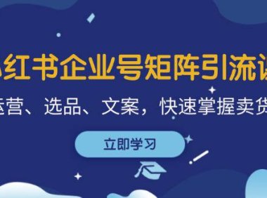 （6570）小红书企业号矩阵引流课，涵盖运营、选品、文案，快速掌握卖货技巧