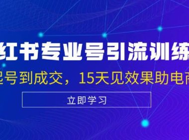 (6585)小红书专业号引流陪跑课,涵盖起号到成交,15天见效果助电商获客